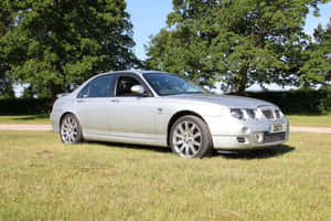 Flawless Beauty Of Silver Mg Zt Wallpaper