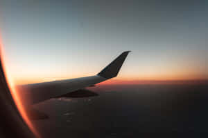 Flight Tail Window Wallpaper