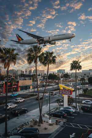 Flight With Palm Trees Wallpaper