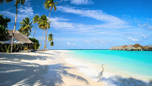 Floating Cottages On White Beach Wallpaper