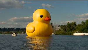 Floating Giant Rubber Duck Wallpaper