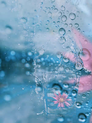 Floral Delicacy In Glass.jpg Wallpaper