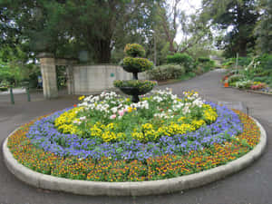 Floral_ Display_ Royal_ Botanic_ Garden_ Sydney Wallpaper