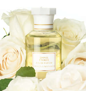 Floral Fragrance Blossoming In Nature Wallpaper