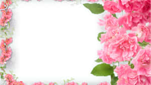 Floral Frame Pink Roses Border Wallpaper