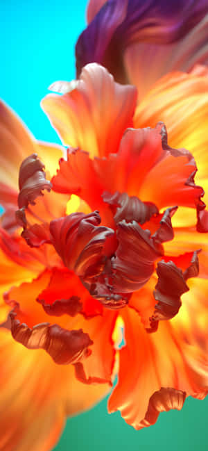 Floral Orange Flower Wallpaper