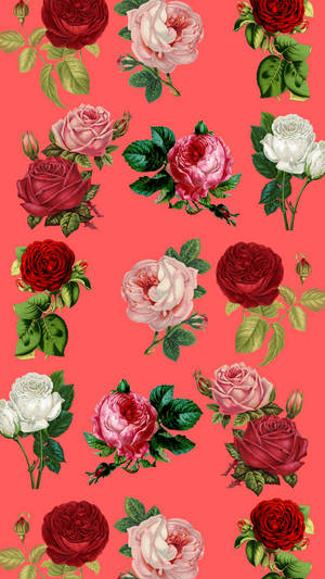 Floral Rose Iphone On Pink Background Wallpaper