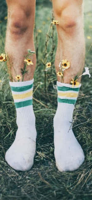 Floral Socksin Nature Wallpaper