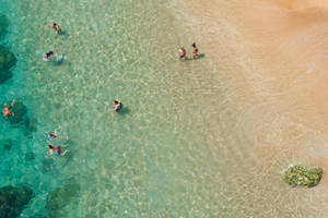 Florida Beach Crystal Clear Water Wallpaper