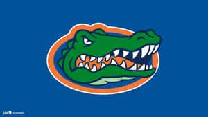 Florida Gators Logo 1920 X 1080 Wallpaper