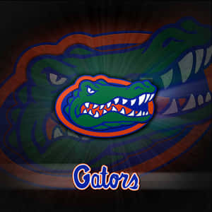 Florida Gators Logo 1920 X 1920 Wallpaper