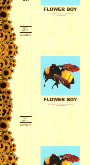 Flower Boy Album Cover Wallpaper