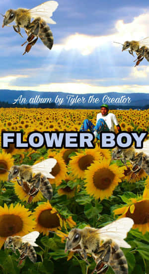 Flower Boy Album Cover Wallpaper