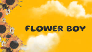 Flower Boy Album Cover Wallpaper