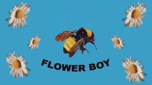 Flower Boy Album Cover Wallpaper