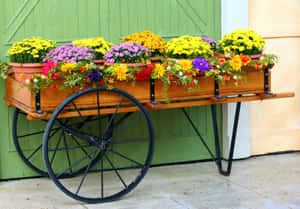 Flower Cart In A Garden Wallpaper