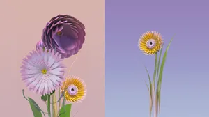 Flower Design Blossoming Flowers Wallpaper