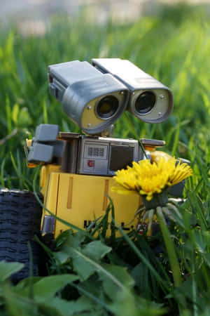 Flower Holding Wall E Iphone Wallpaper