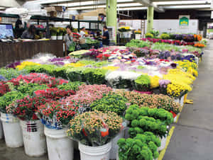Flower Market Blooms Wallpaper