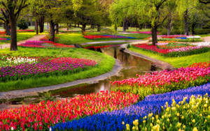 Flower Park Paradise Wallpaper