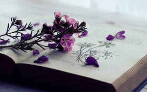 Flowers And Open Book Full 4k Wallpaper