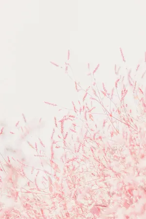 Flowers For Pink Girl Iphone Screens Wallpaper