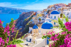 Flowers In Santorini Wallpaper