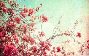 Flowery Vintage Aesthetic Scene Wallpaper