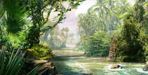 Flowing River In A Jungle Desktop Wallpaper