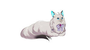 Fluffy Anime Cat Wallpaper