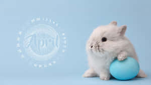 Fluffy Bunnywith April Egg Wallpaper