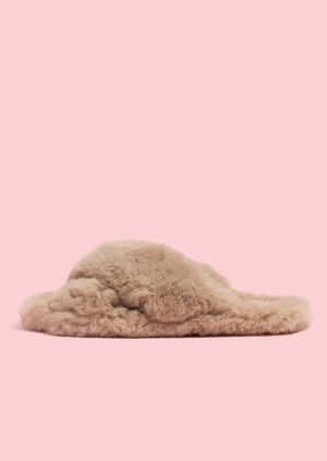 Fluffy Tan Slipperon Pink Background.jpg Wallpaper