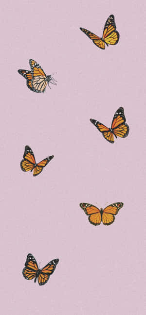 Fluttering Free And Happy Wallpaper