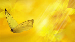 Fluttering In The Breeze Wallpaper