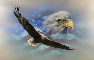 Fly High With American Eagle Wallpaper