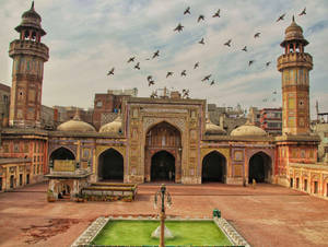 Flying Birds In Lahore Wallpaper