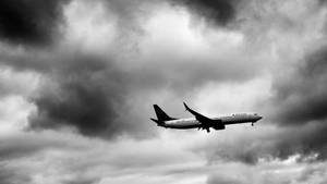 Flying Delta Hd Plane Bw Wallpaper