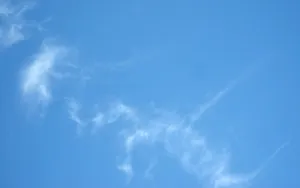 Flying High In The Blue Sky. Wallpaper