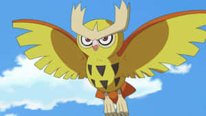 Flying Noctowl Pokemon Wallpaper