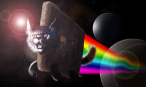 Flying Nyan Cat Meme Laptop Wallpaper