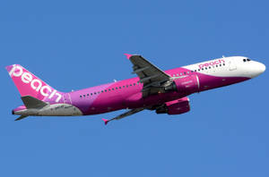 Flying Peach Aviation Airplane Wallpaper