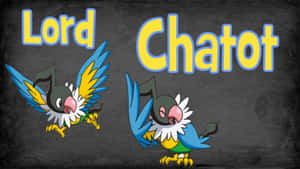 Flying Pokémon Chatot Wallpaper