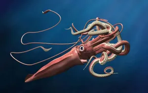 Flying Squid Illustration Wallpaper