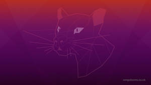 Focal Fossa Of Ubuntu Wallpaper