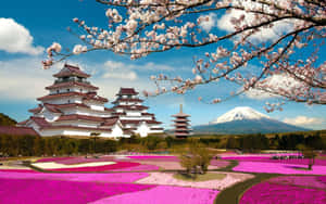 Fog Shrouded Temples Across A Rocky Landscape In Japan Wallpaper