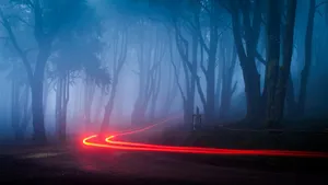 Foggy Aesthetic Neon Red Forest Wallpaper