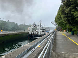 Foggy Dayat Ballard Locks Wallpaper