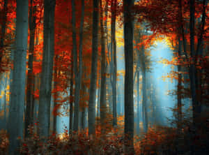 Foggy Fall Landscape Forest Desktop Wallpaper