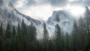 Foggy Forest And Mountains Mac 4k Wallpaper