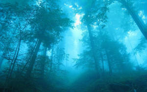 Foggy Forest Blue Dreamlike Wallpaper